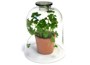 Ventilated glass cloche