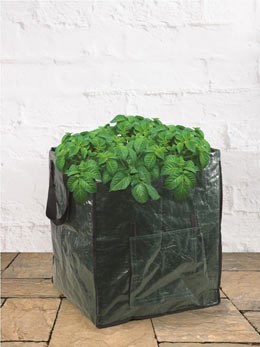 Extra large potato planting bags