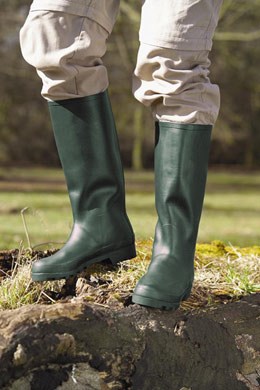 Wellington boots