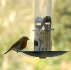 Heavy duty feeder tray