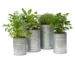 Galvanised metal planter set