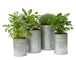 Galvanised metal planter set