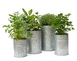 Galvanised metal planters