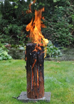 Fire log