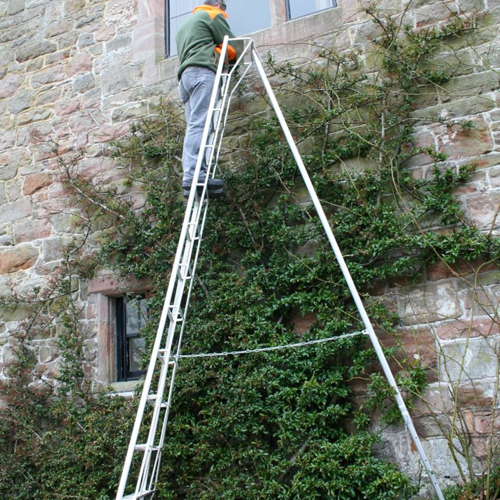 Tripod ladder for orchards and hedges