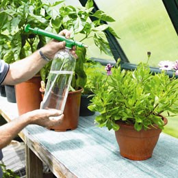 Bottle top sprayer