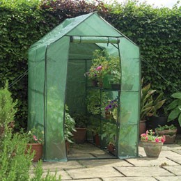 Walk in greenhouse with shelves