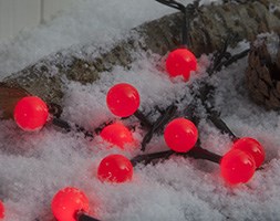 Outdoor / indoor red berry lights