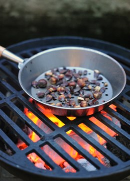 Steel chestnut roaster