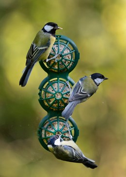 Suet ball window feeder