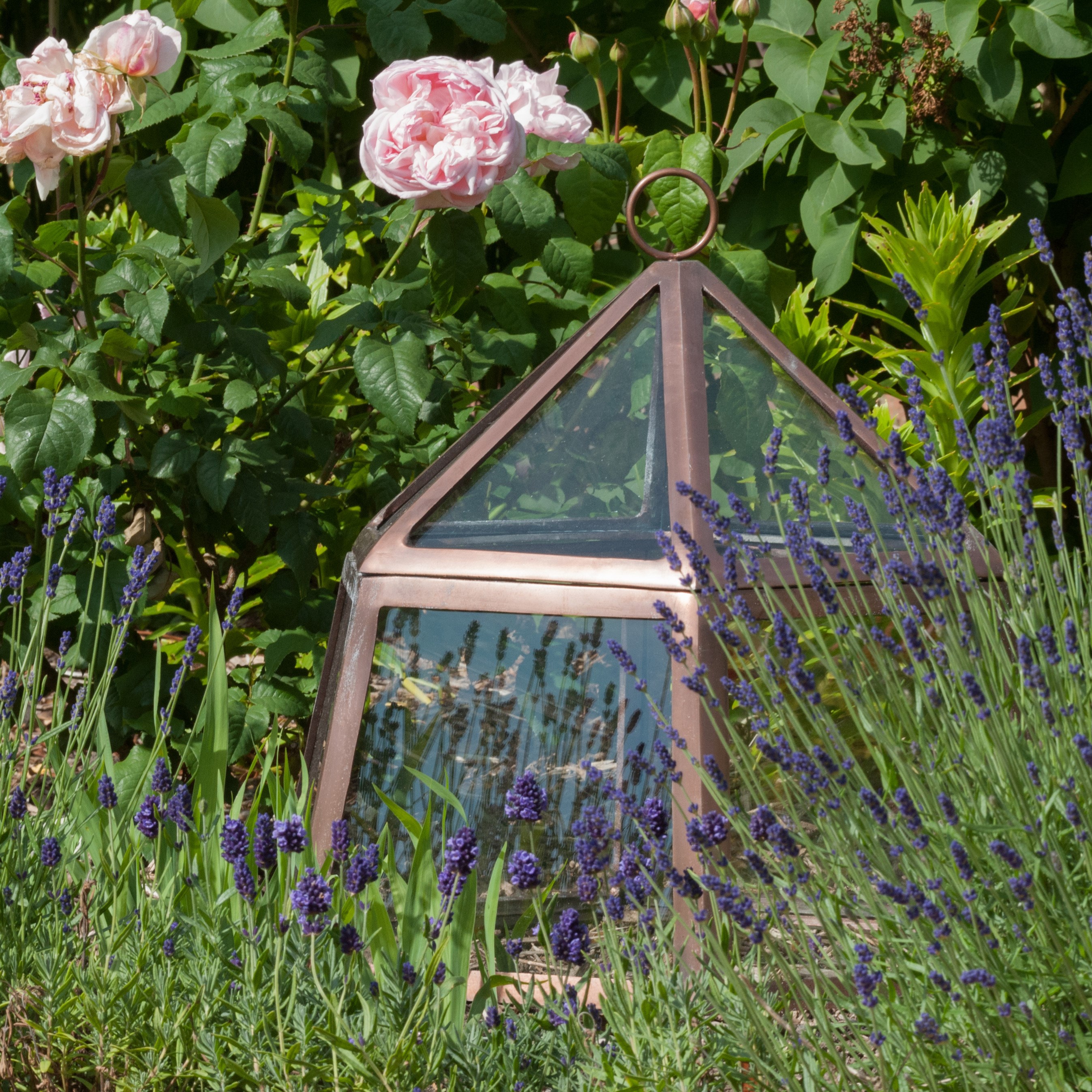 Aluminium lidded cloche