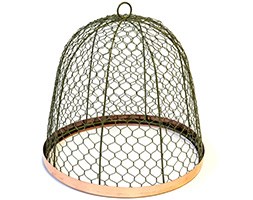 Protective mesh cloche with copper ring - lichen green