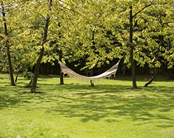 Swing hammock chair