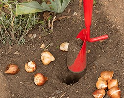 Long handled bulb planter