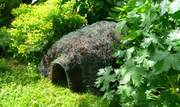 Hedgehog hogitat