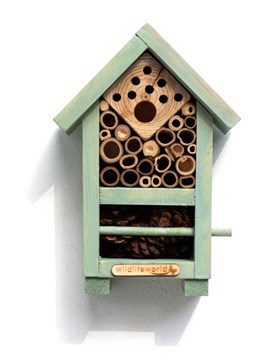 Bee & bug home