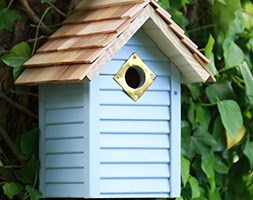 New england nest box - Blue