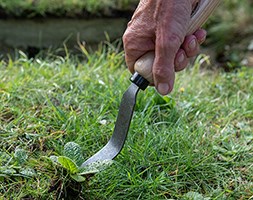 De Wit bio weeding fork