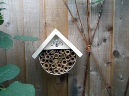 Bee and insect house