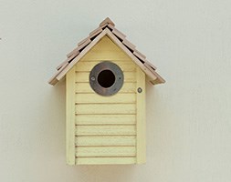 New England nest box - yellow