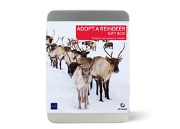Adopt a reindeer