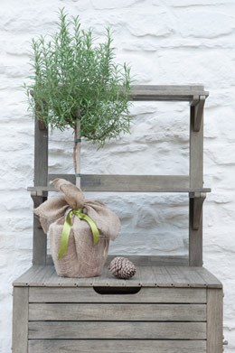 Potting bench with storage