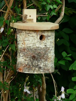 Silver birch tit box