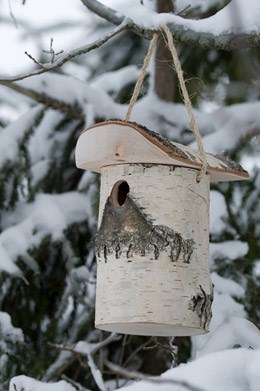 Woodland nest box for smaller birds