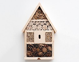 Insect hotel