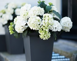 Tall square patio planter