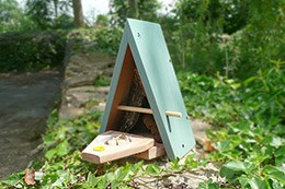 Butterfly feeder and biome