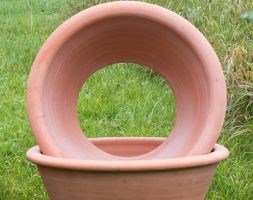 Terracotta rimmed grow pot