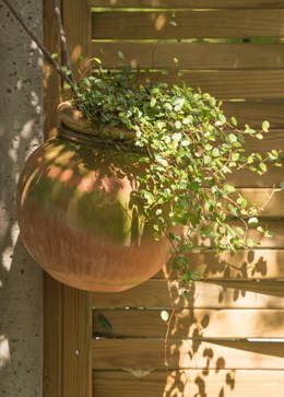 Terracotta babylon hanging pot