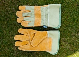 Reinforced suede gardening gloves