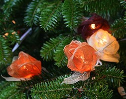 Autumn rose string lights