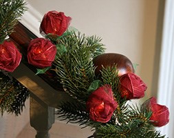 Burgundy rose string lights
