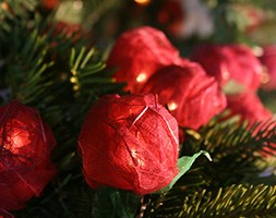 Red rose string lights