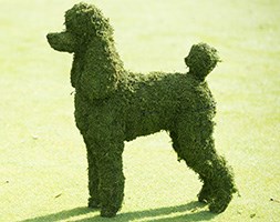 Poodle garden sculpture