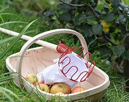 Traditional garden trug