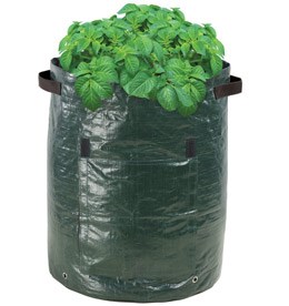 potato planting bags - Twin Pack