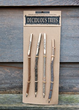 Deciduous tree pencil set
