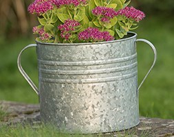 Planter with handles