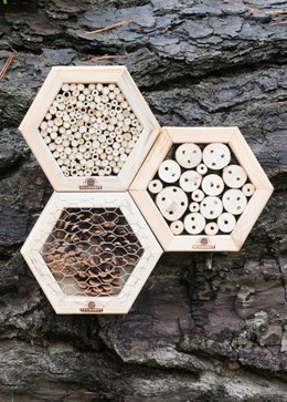Hexagonal insect boxes