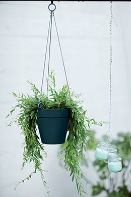 Hanging pot