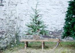 Frosted tree in burlap