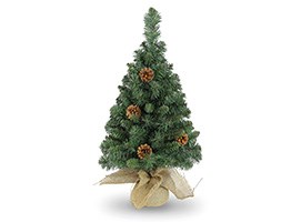 Parkerview pine tree