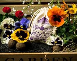 Seed bombs - Butterfly