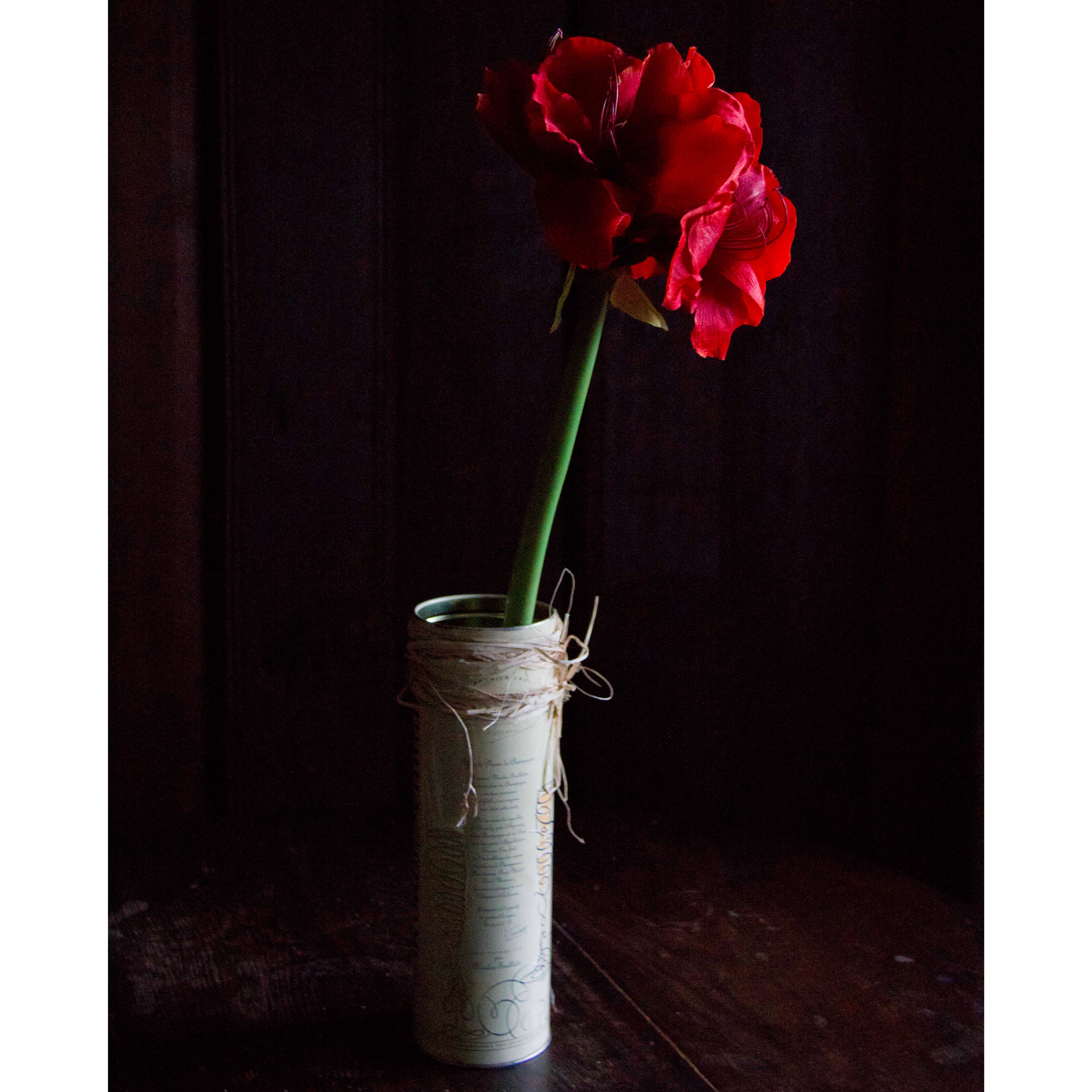 Floralsilk Amaryllis