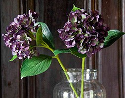Floralsilk Hydrangea
