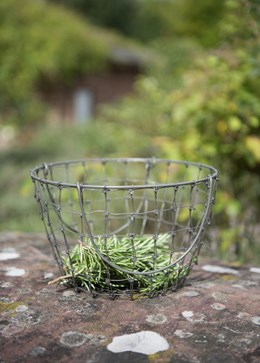 Foraging basket